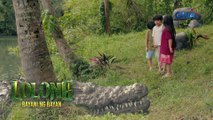 Lolong 2: Si Bantay at ang punong buwaya, iisa lang? (Episode 28)