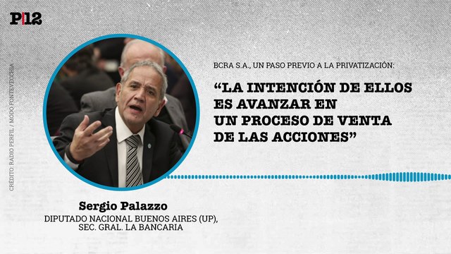 Palazzo apuntó que BCRA S.A. es un paso previo a la privatización y señaló la intención de vender acciones