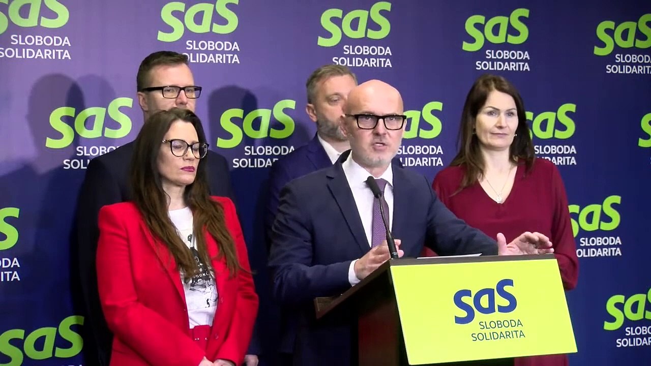 ZÁZNAM: SaS: Vláda by mala prísť s konkrétnymi opatreniami na pomoc jednorodičom