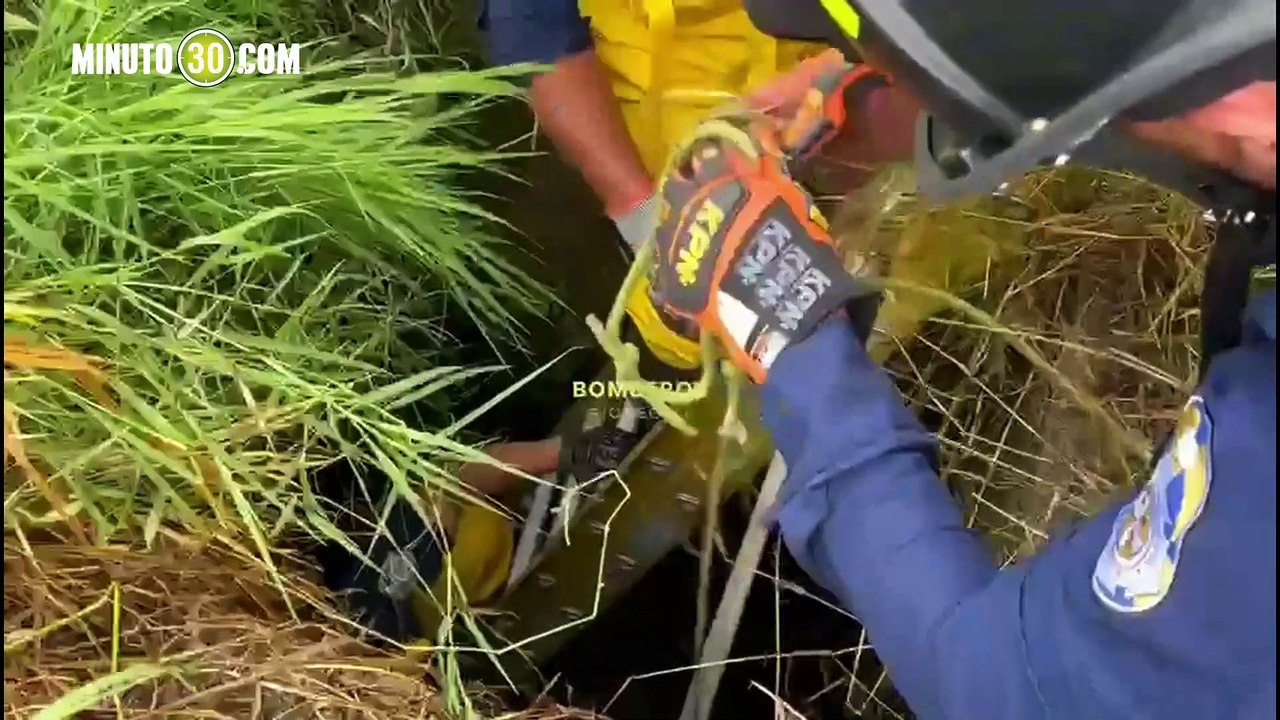 ¡Héroes en acción! Bomberos rescatan a perrita que cayó en un pozo en Rionegro