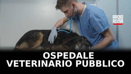 Roma avrà il primo ospedale veterinario pubblico