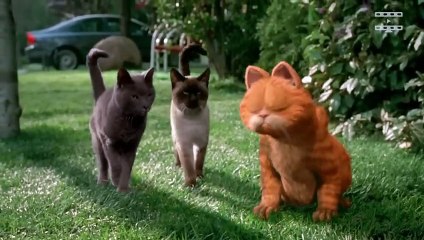 Filmy, których wstydzili się sami aktorzy