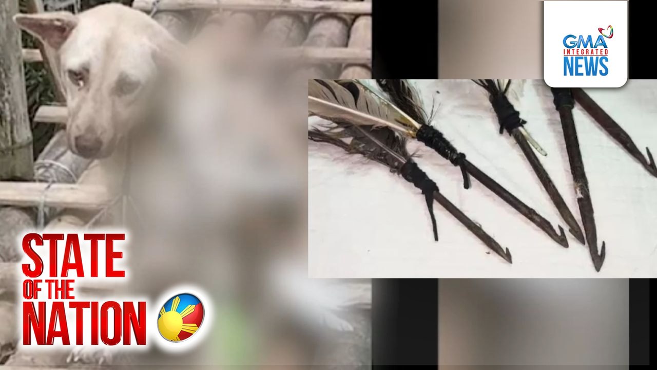 Aso, sugatan matapos panain nang 5 beses at talian ng alambre sa leeg | SONA