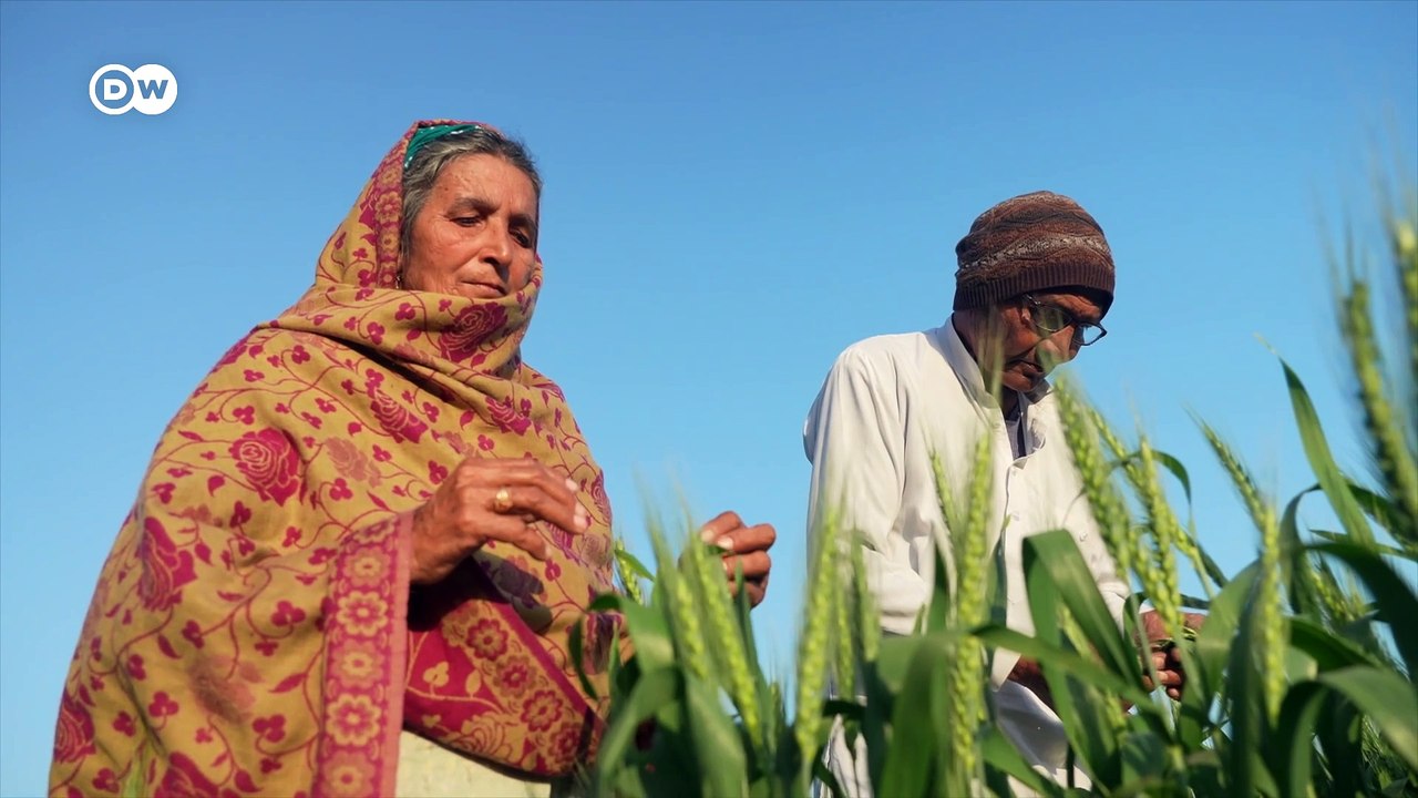 US-Abschiebungen: Zerstörte Träume von einem besseren Leben