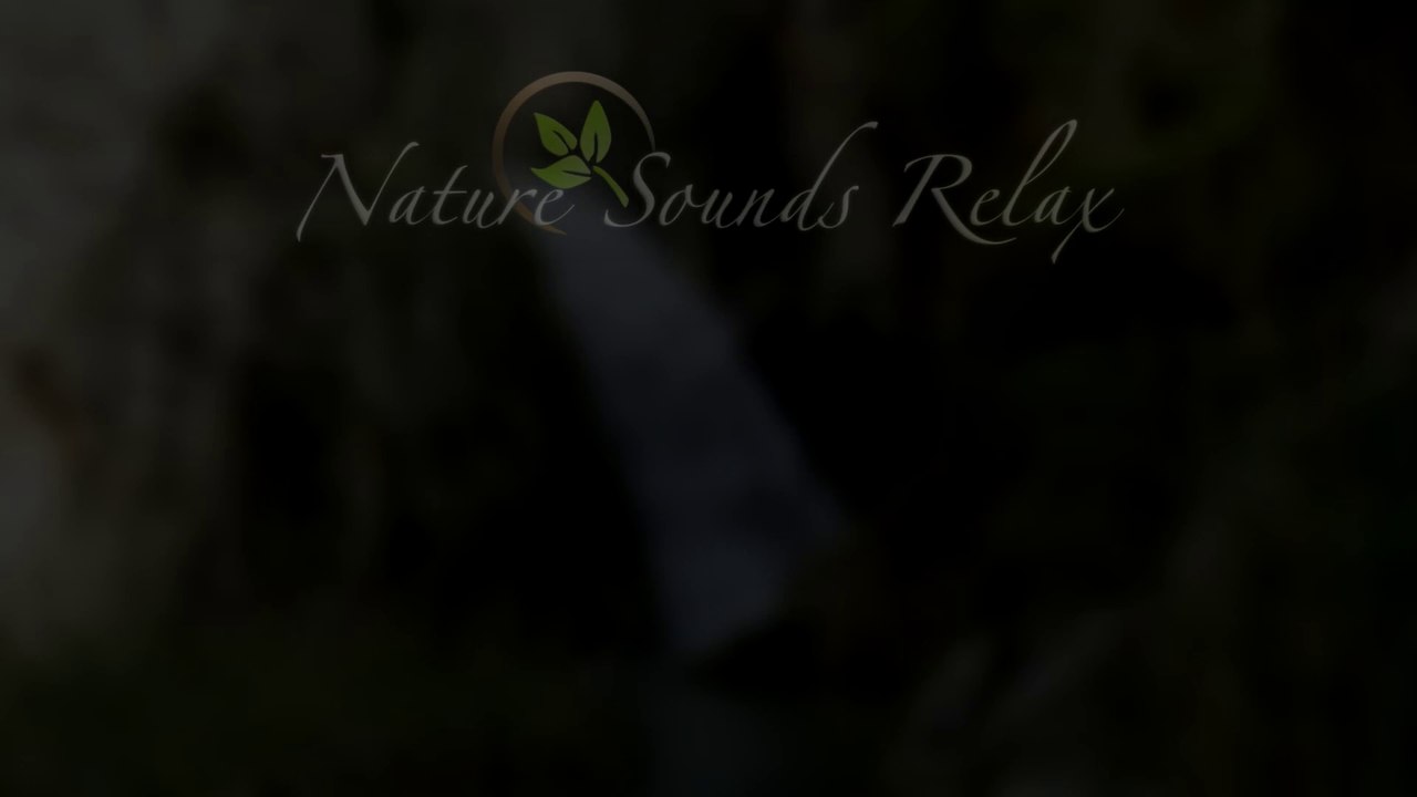 Episodio 001 - 21 minutos...   Un Salto de Agua Singular: Sonido Relajante de Cascada y Naturaleza para Meditar, Dormir y Concentrarse 🌿 | Disfruta del fluir del agua cristalina cayendo entre rocas, creando un paisaje sonoro ideal para liberar estrés