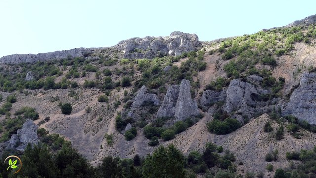 Episodio 002 - 21 minutos... 🏔️ Ambiente de Alta Montaña: Sonido Relajante del Viento, la Naturaleza y el Silencio de las Cumbres 🌬️ | Disfruta de la pureza del aire, el murmullo del viento entre las rocas y la inmensidad de la montaña, relax