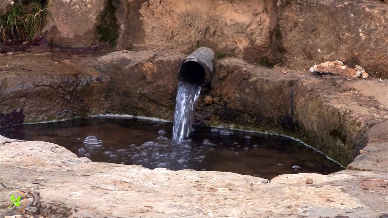 Episodio 005 - 21 minutos... 💧 Una Fuente de Montaña: Sonido Relajante de Agua Cristalina para Meditar, Dormir y Concentrarse 🌿 | Disfruta del murmullo del agua fluyendo entre rocas, rodeado de naturaleza pura, ideal para liberar el estrés.
