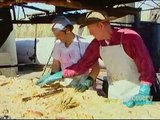 Dirty Jobs - Jobs That Bite Harder