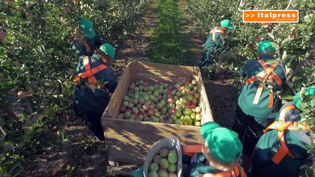 Crédit Agricole Italia, 3 mld a sostegno del settore agroalimentare