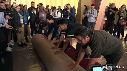 Cinema, srotolato il red carpet per la notte degli Oscar