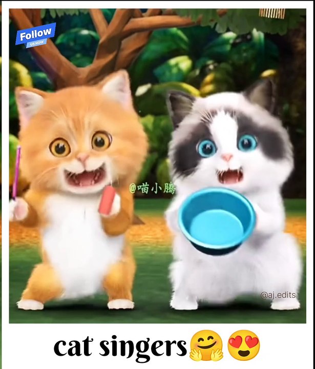 Cat singing😘