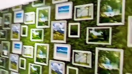 White deck beach resort Vlog Beachday beachresort summervlog beachvlog beach_360P
