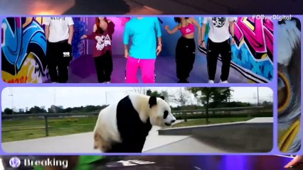 Ao vivo | Parece que estávamos errados sobre Marte! | 26/02/2025 | #OlharDigital