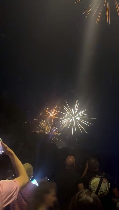 Le Feu d’artifice du 14 juillet Grenoble  Parc Jean-Verlhac Villeneuve #france #grenoble #show (41)