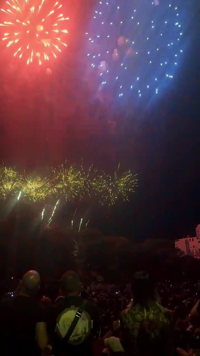 Le Feu d’artifice du 14 juillet Grenoble  Parc Jean-Verlhac Villeneuve #france #grenoble #show (26)