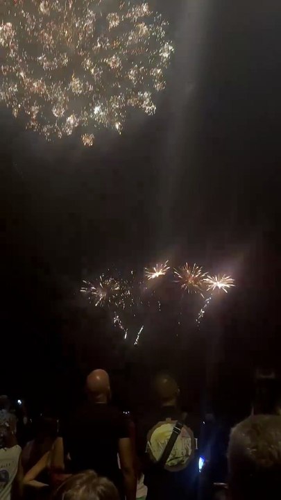 Le Feu d’artifice du 14 juillet Grenoble  Parc Jean-Verlhac Villeneuve #france #grenoble #show (36)
