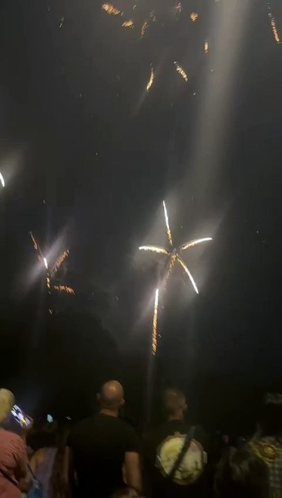 Le Feu d’artifice du 14 juillet Grenoble  Parc Jean-Verlhac Villeneuve #france #grenoble #show (38)