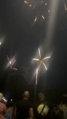 Le Feu d’artifice du 14 juillet Grenoble  Parc Jean-Verlhac Villeneuve #france #grenoble #show (38)
