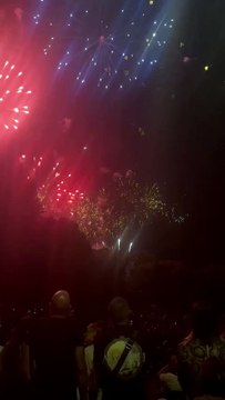 Le Feu d’artifice du 14 juillet Grenoble Parc Jean-Verlhac Villeneuve #france #grenoble #show (34)