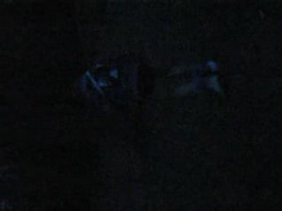 Bild 3697