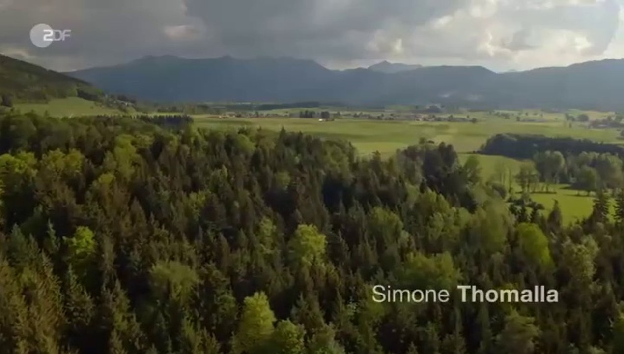 Frühling -50- Das Versteck