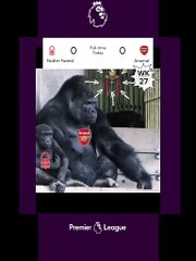 Arsenal Confused, Nottingham Forest hopes for UEFA, Liverpool the Beatles.