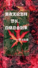 黑夜无论怎样悠长， 白昼总会到来  ——莎士比亚 No matter how long the night is, the day will always come - Shakespeare