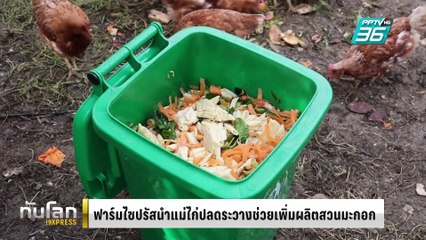 ฟาร์มไซปรัสนำแม่ไก่ปลดระวางช่วยเพิ่มผลิตสวนมะกอก | ทันโลก EXPRESS | 27 ก.พ. 68