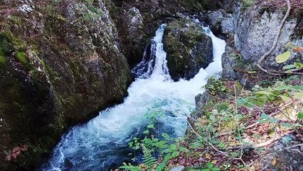 A plunge pool where two waterfalls converge