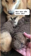 It's nothing to look at, it's just becoming a mother for the first time😄