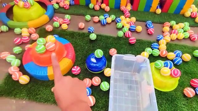 World Cute Chickens, Colorful Chickens, Rainbows Chickens, Cute Ducks, Cat, Rabb