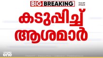 വീട് കയറി CITU ഭീഷണിയെന്ന് ആശമാർ; സംസ്ഥാന വ്യാപകമായി സമരം കടുപ്പിക്കാൻ തീരുമാനം; 'പിന്മാറില്ല'