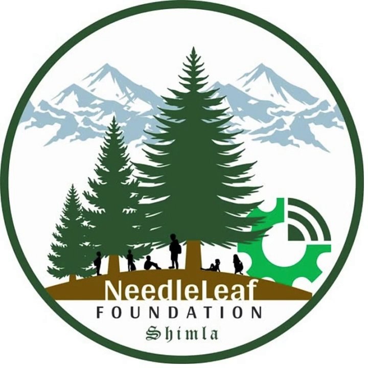 Needleleaf Foundation