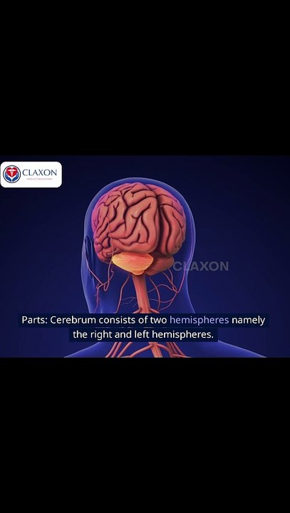 "🧠 **Introduction to the Central Nervous System | Quick & Easy Explanation!** ⚡    Curious about how your brain and spinal cord work? This short and engaging video breaks down the **Central Nervous System (CNS)** in a simple and easy-to-understand way! L
