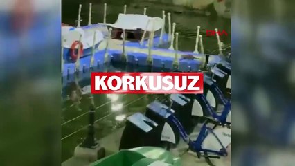Tokat’ta su samuru görüntülendi