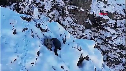 Erzincan’da kaçak avcı doğa fotoğrafçısının kamerasına yakalandı