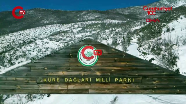 Küre dağları Milli Parkı'nda kar güzelliği