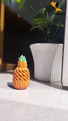 Discover Endless Fun with PetBuds Toys! 🐾🎾