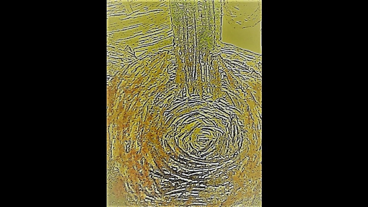 4 Suites by Johann Sebastian Bach (Klaus Breuer : Nylon and Steel String Guitars)