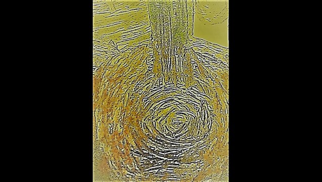 4 Suites by Johann Sebastian Bach (Klaus Breuer : Nylon and Steel String Guitars)