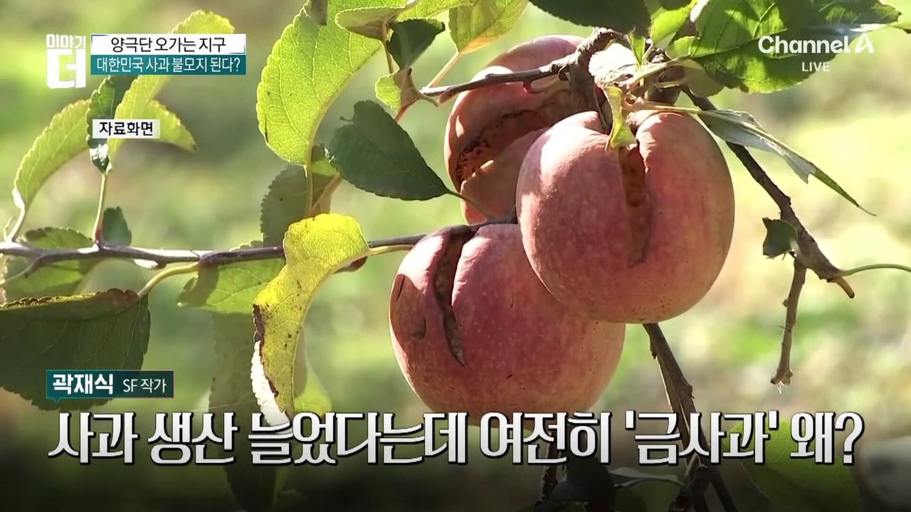 “제철 과일, 먹을 수 없는 시대 온다”