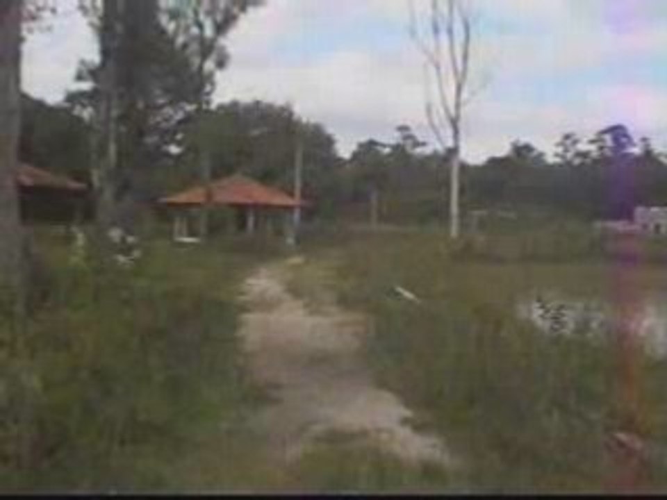 Area -33