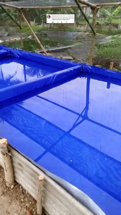 Untuk alas TERPAL kolam kalian bisa menggunakan apa saja, terkecuali...