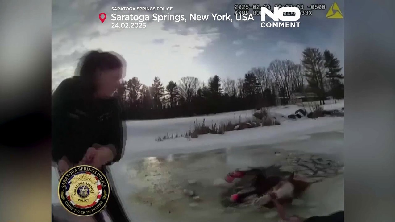 Cavallo stava annegando in uno stagno ghiacciato a New York: salvato dai vicini e dalla polizia