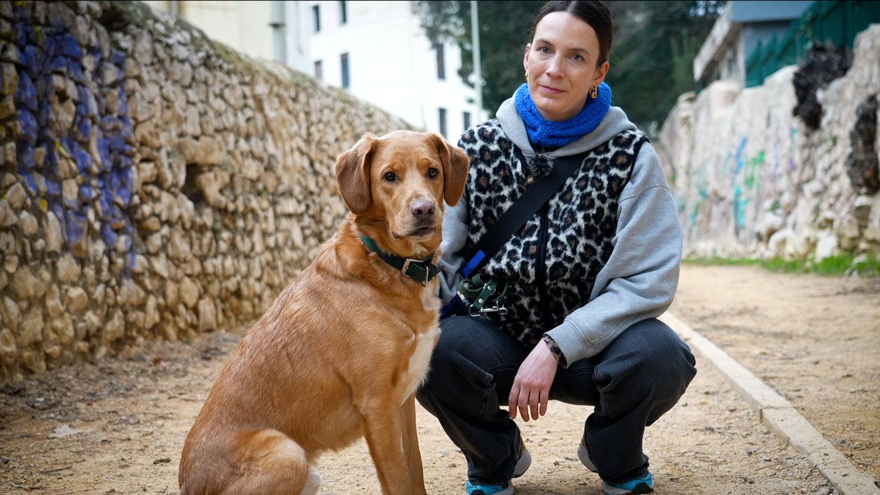 « Il n'était plus net » : à Marseille, des chiens empoisonnés par des excréments de drogués