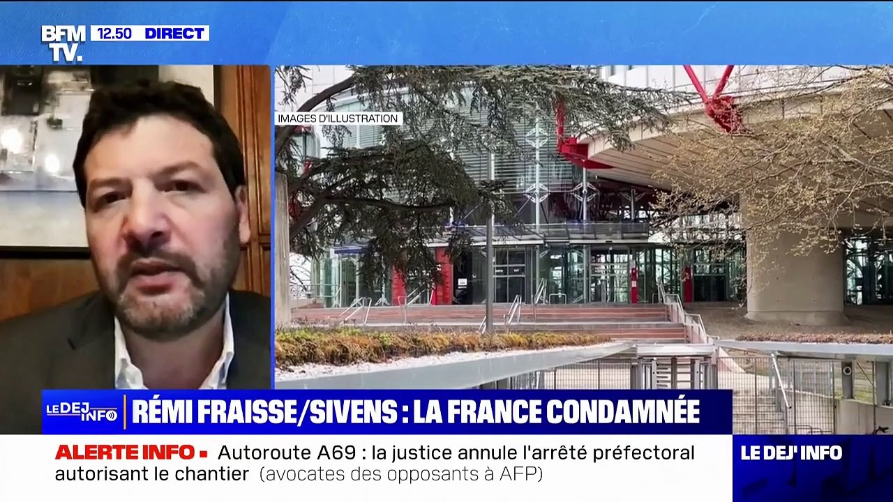 "Cette brutalisation du maintien de l'ordre va devoir cesser": l'avocat du père de Rémi Fraisse réagit à la condamnation de la France par la Cour européenne des droits de l'Homme