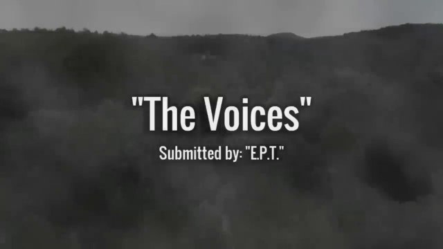 Most Disturbing Encounters in the Woods | crazy horror story