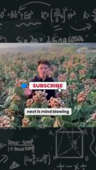 Unbelievable! Young Man’s Tiny Longan Tree Yields a Bountiful Harvest Against All Odds!