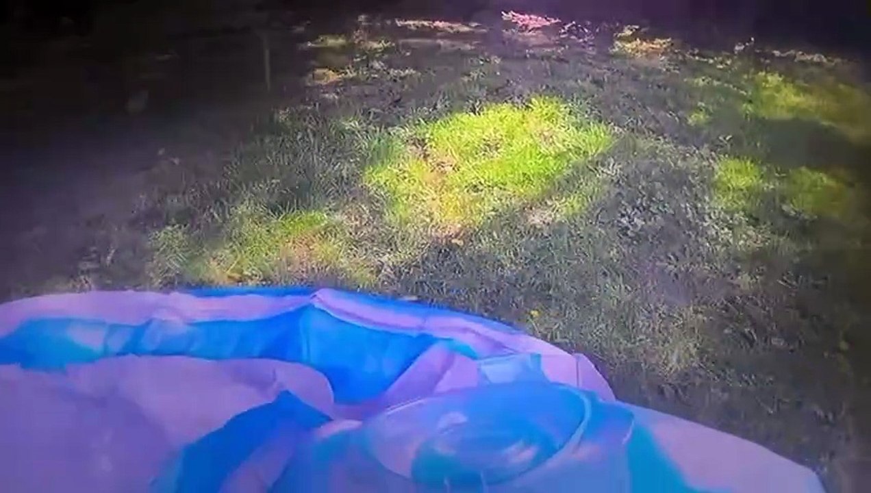 Swimming