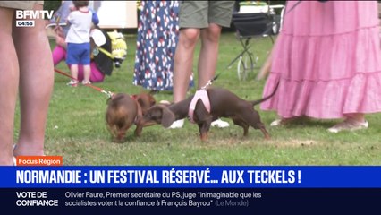 Focus Régions - 26/08